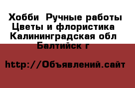 Хобби. Ручные работы Цветы и флористика. Калининградская обл.,Балтийск г.